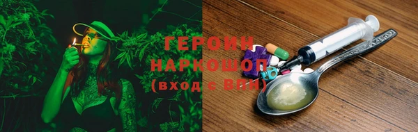 индика Бронницы