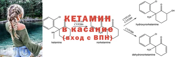 ГАЛЛЮЦИНОГЕННЫЕ ГРИБЫ Нязепетровск