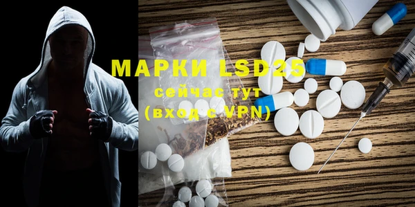 ГАЛЛЮЦИНОГЕННЫЕ ГРИБЫ Нязепетровск