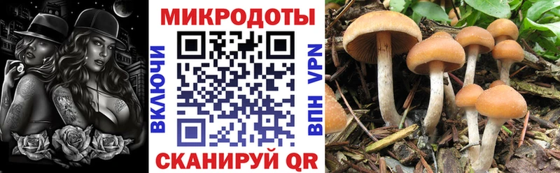 наркота  площадка официальный сайт  Галлюциногенные грибы прущие грибы  Нахабино 